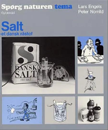 Salt - et dansk råstof af Lars Engels