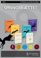Springbrættet - Brochure