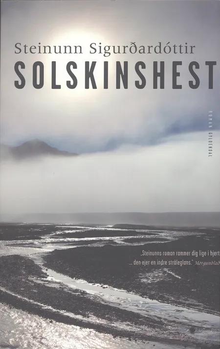 Solskinshest af Steinunn Sigurðardóttir