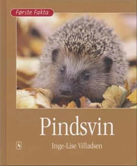 Pindsvin af Inge-Lise Villadsen