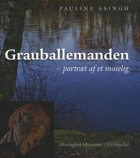 Grauballemanden - portræt af et moselig af Pauline Asingh