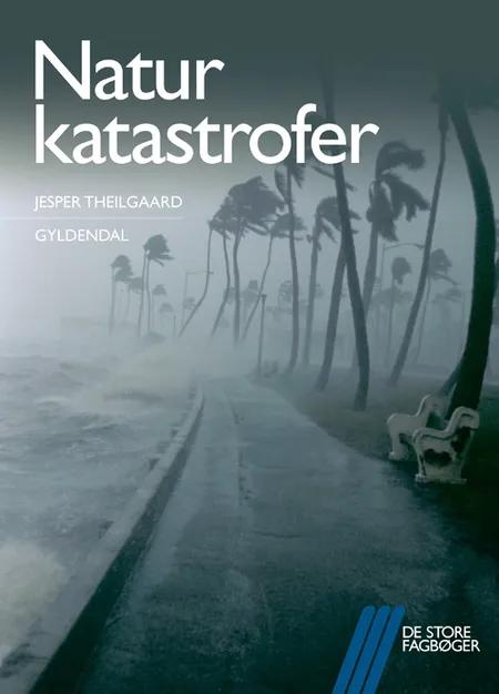 Naturkatastrofer af Jesper Theilgaard