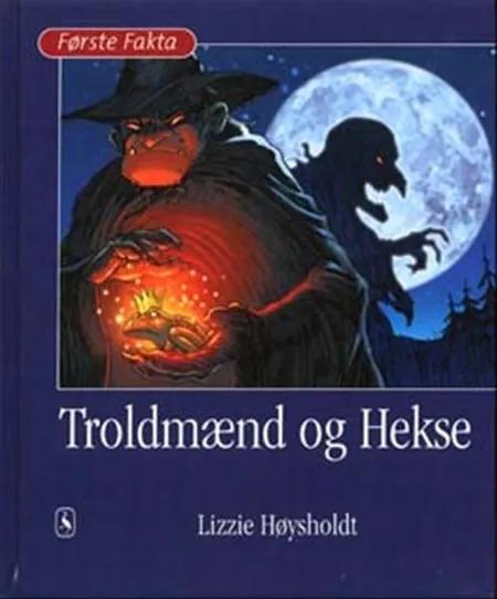 Troldmænd og hekse af Lizzie Høysholdt