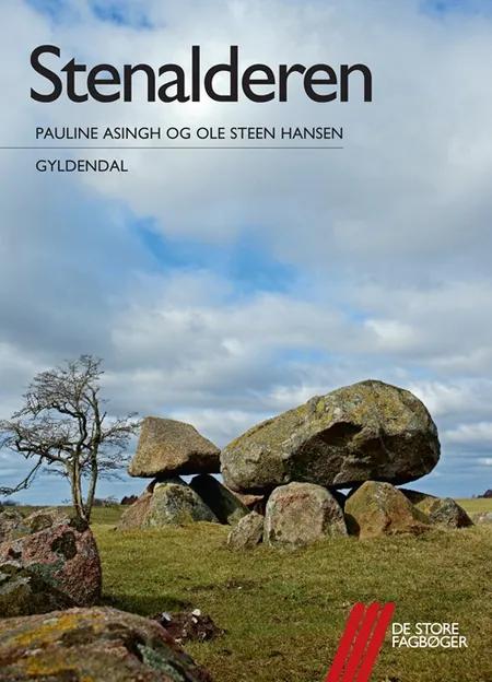 Stenalderen af Ole Steen Hansen