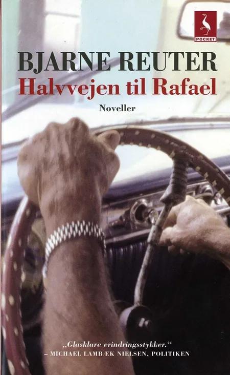 Halvvejen til Rafael af Bjarne Reuter