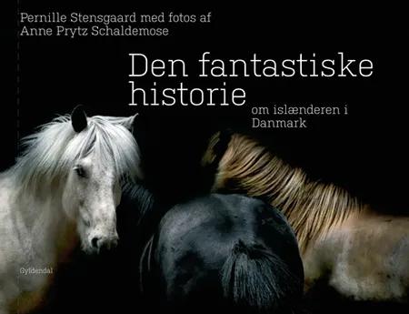 Den fantastiske historie om islænderen i Danmark af Pernille Stensgaard
