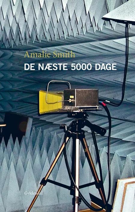 De næste 5000 dage af Amalie Smith