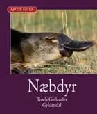 Næbdyr