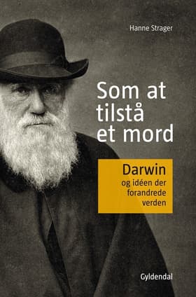 Som at tilstå et mord af Hanne Strager