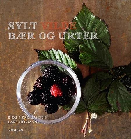 Sylt med vilde bær og urter af Birgit Kristiansen