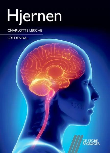 Hjernen af Charlotte Lerche