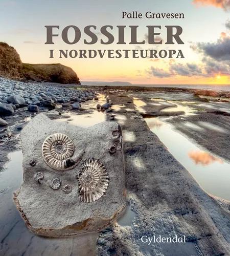 Fossiler i Nordvesteuropa af Palle Gravesen