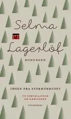 Dunungen og Tøsen fra Stormyrhuset