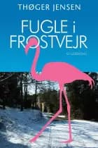 Fugle i frostvejr
