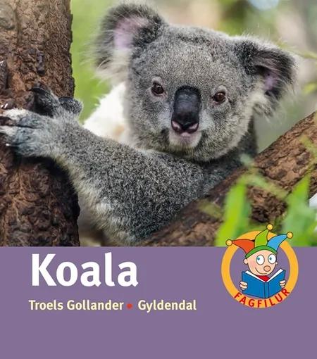 Koala af Troels Gollander