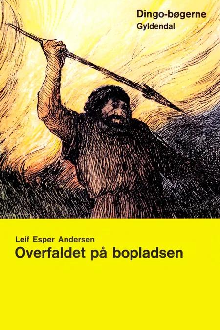Overfaldet på bopladsen af Leif Esper Andersen