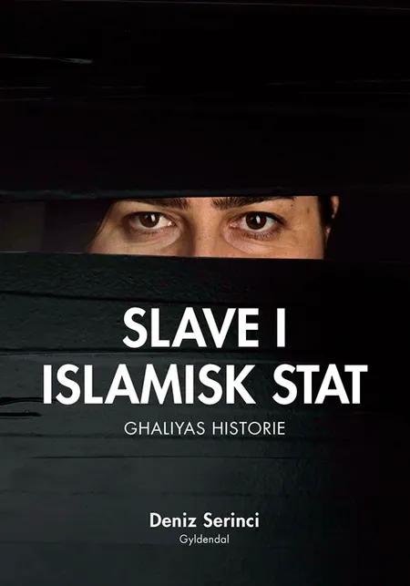 Slave i Islamisk Stat af Deniz B. Serinci