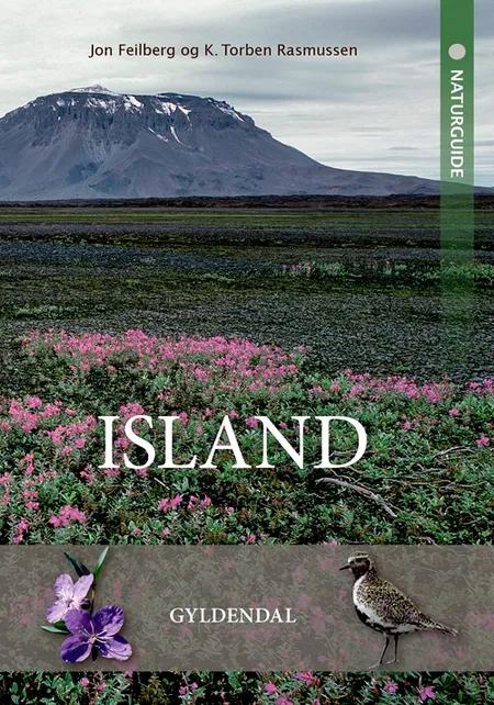 Naturguide Island af Jon Feilberg