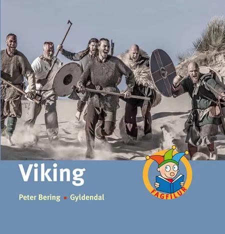 Viking af Peter Bering
