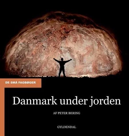 Danmark under jorden af Peter Bering
