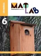 MatLab 6 - grundbog