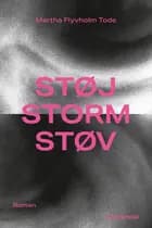 Støj, storm, støv