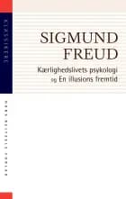 Kærlighedslivets psykologi. En illusions fremtid