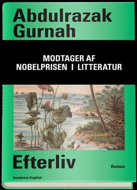 Efterliv af Abdulrazak Gurnah