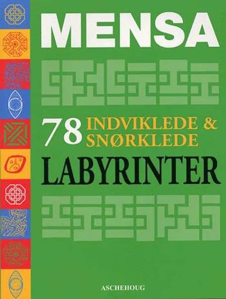 Mensa 78 indviklede og snørklede labyrinter af Robert Allen