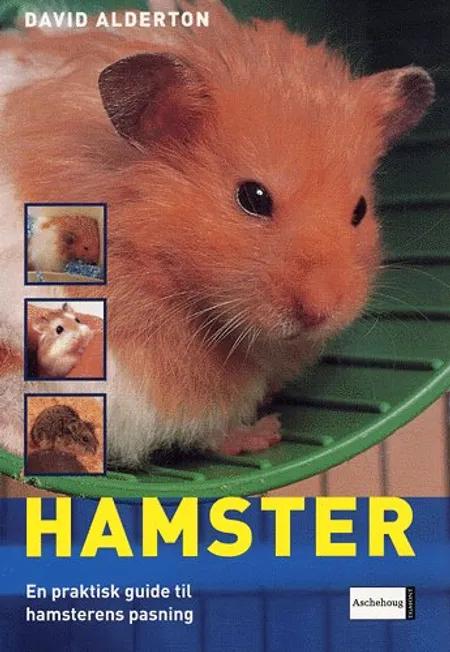 Hamster af David Alderton