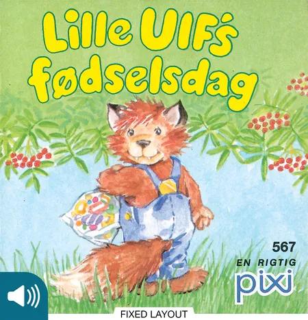Lille Ulf's fødselsdag af Heidi Bruhn