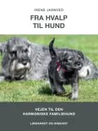 Fra hvalp til hund