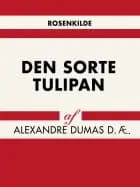 Den sorte tulipan