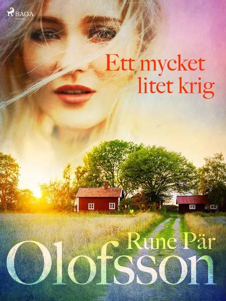 Ett mycket litet krig af Rune Pär Olofsson