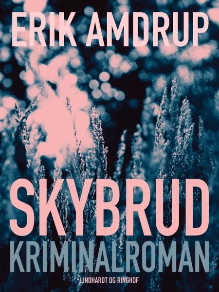 Skybrud af Erik Amdrup