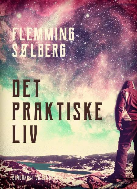 Det praktiske liv af Flemming Sølberg