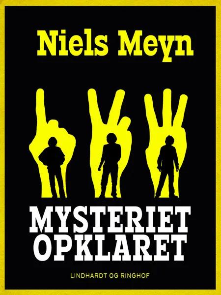 Mysteriet opklaret af Niels Meyn