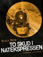 To skud i Natekspressen af Niels Meyn