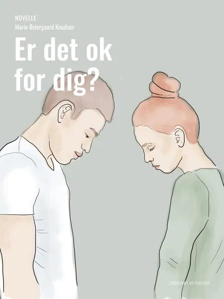 Er det ok for dig? af Marie Østergaard Knudsen