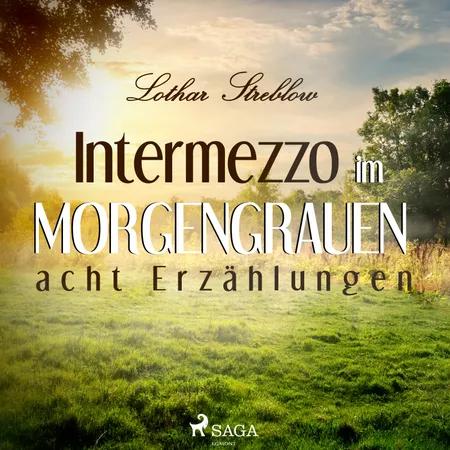 Intermezzo im Morgengrauen - acht Erzählungen af Lothar Streblow