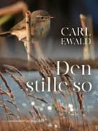 Den stille sø