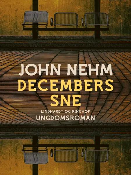 Decembers sne af John Nehm