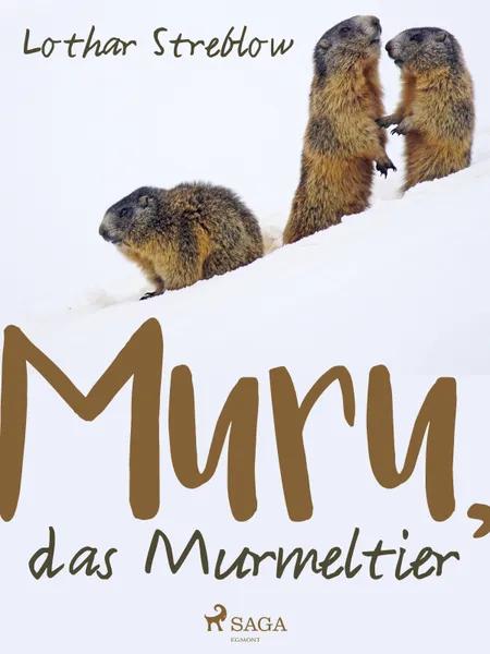 Murru, das Murmeltier af Lothar Streblow