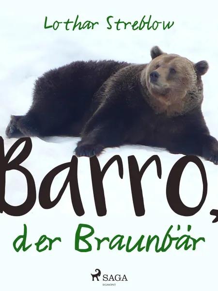 Barro, der Braunbär af Lothar Streblow