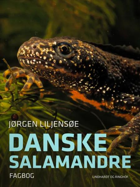 Danske salamandre af Jørgen Liljensøe