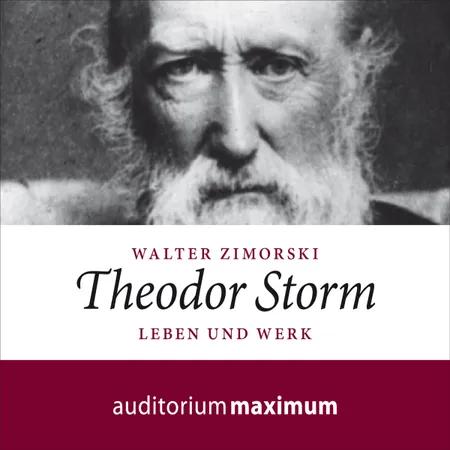 Theodor Storm af Walter Zimorski