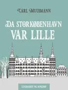 Da Storkøbenhavn var lille