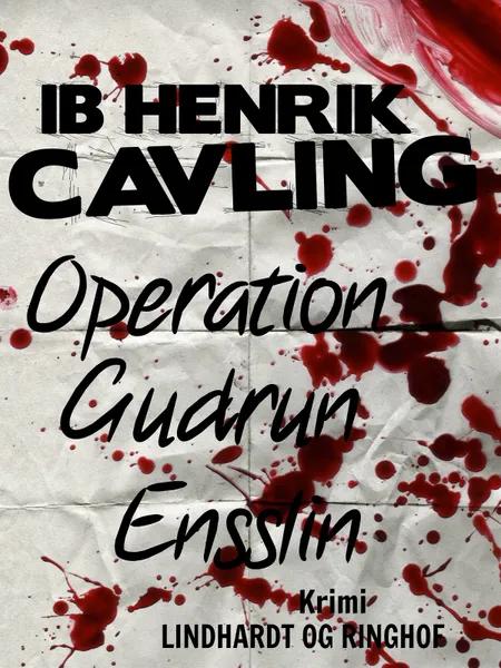 Operation Gudrun Ensslin af Ib Henrik Cavling