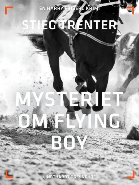Mysteriet om Flying Boy af Stieg Trenter
