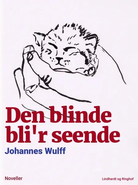 Den blinde bli'r seende af Johannes Wulff